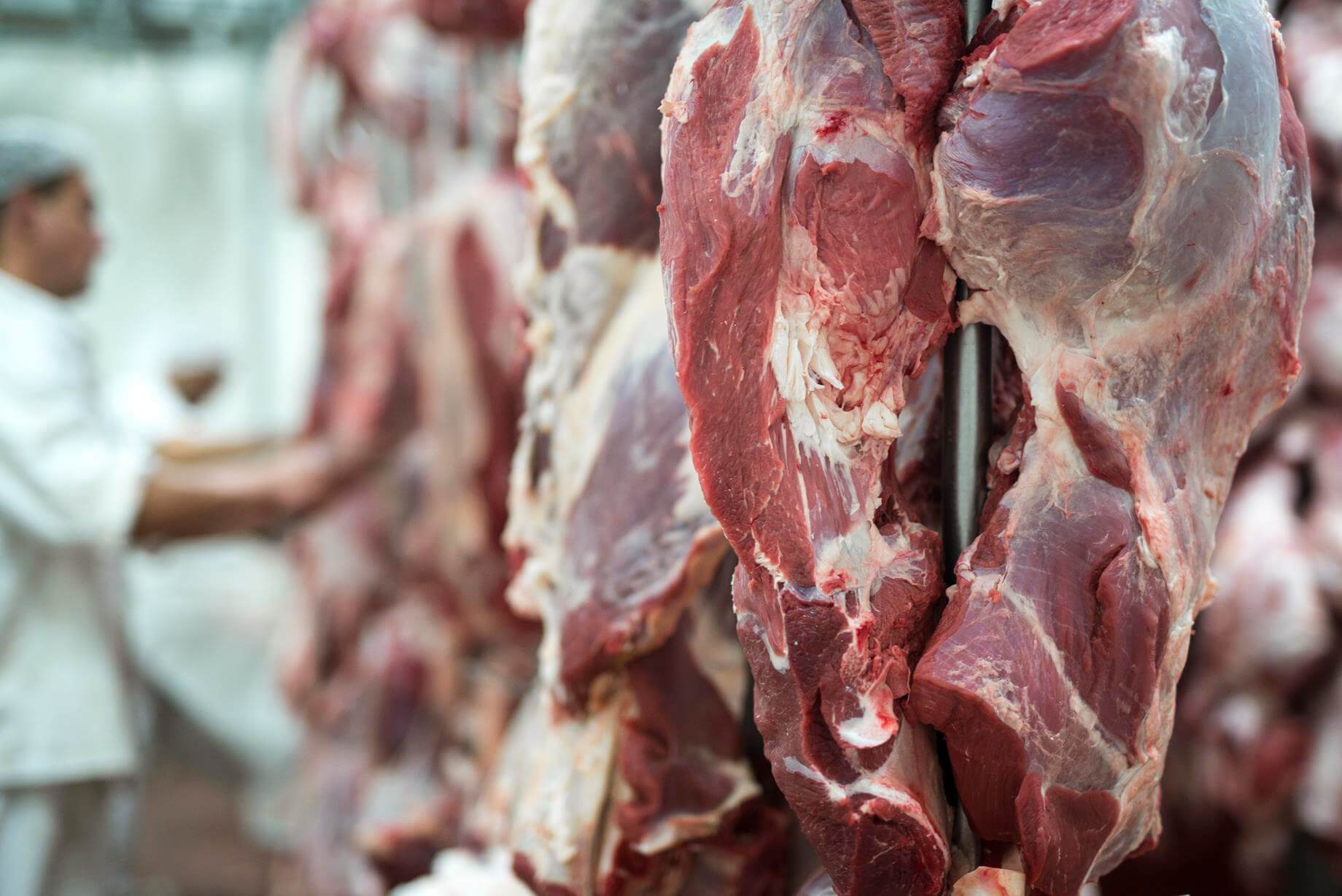 Trazabilidad en la carne